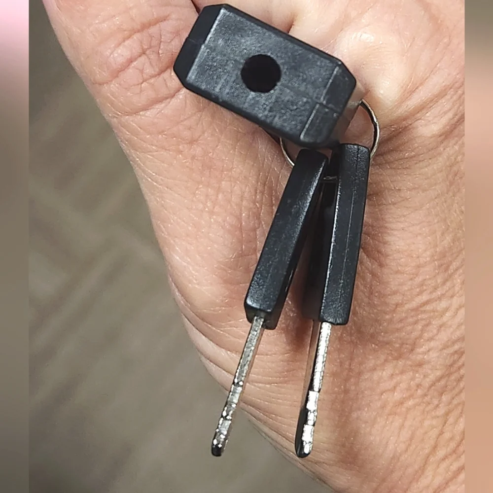 Restoration Hardware Black Padlock Keychain
